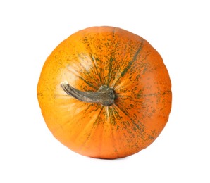 Photo of One fresh orange pumpkin isolated on white