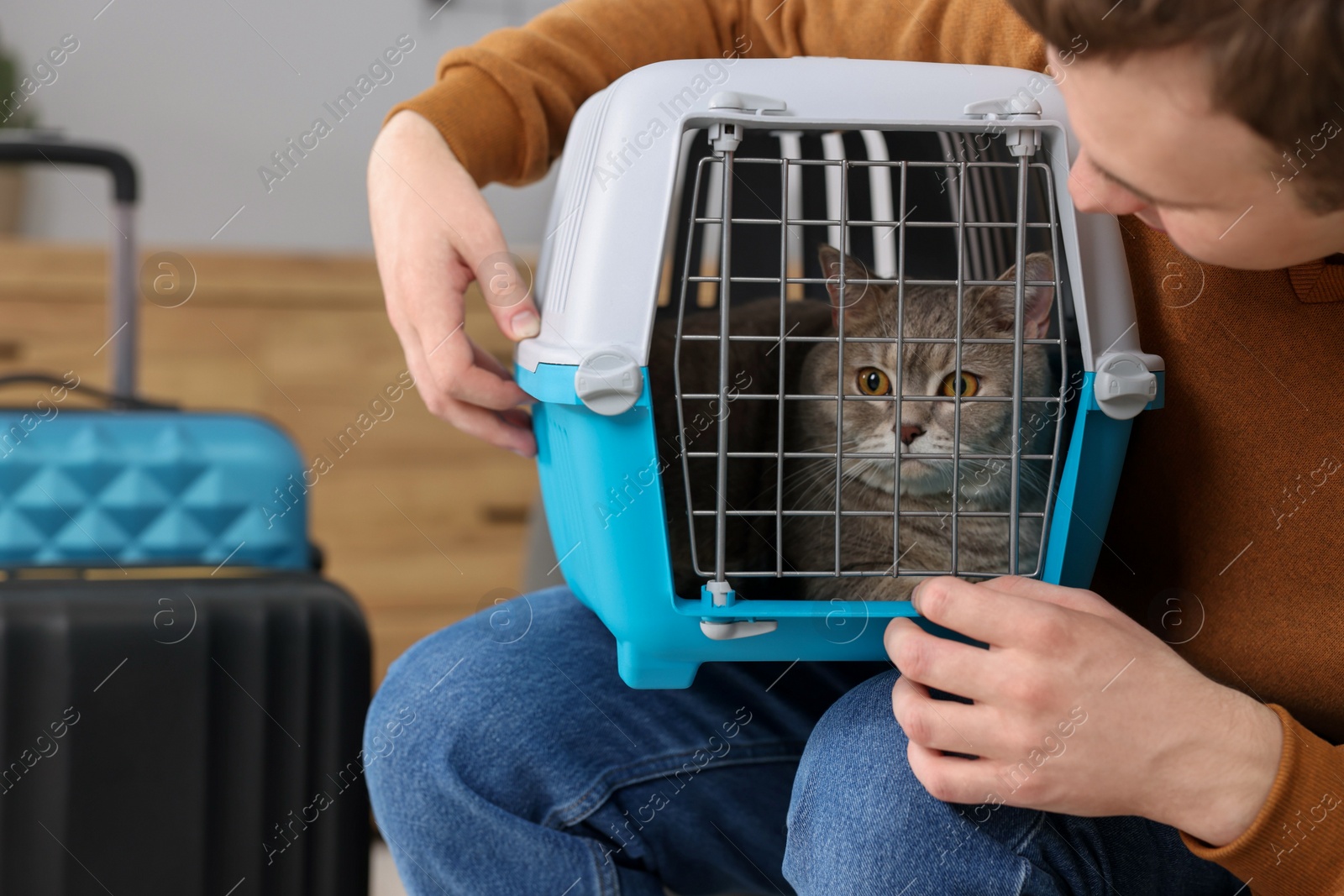 Photo of Travel with pet. Man holding carrier with cute cat indoors, closeup. Space for text