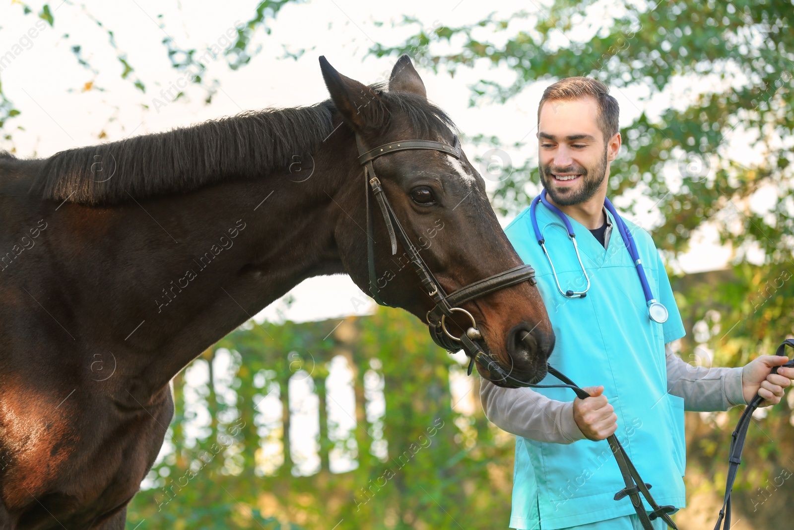 Photo of Veterinarian in uniform with beautiful brown horse outdoors