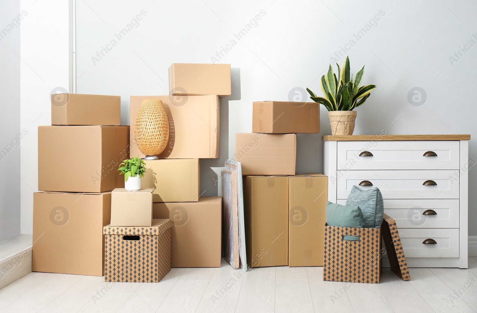 Photo of Cardboard boxes, potted plants and household stuff indoors. Moving day