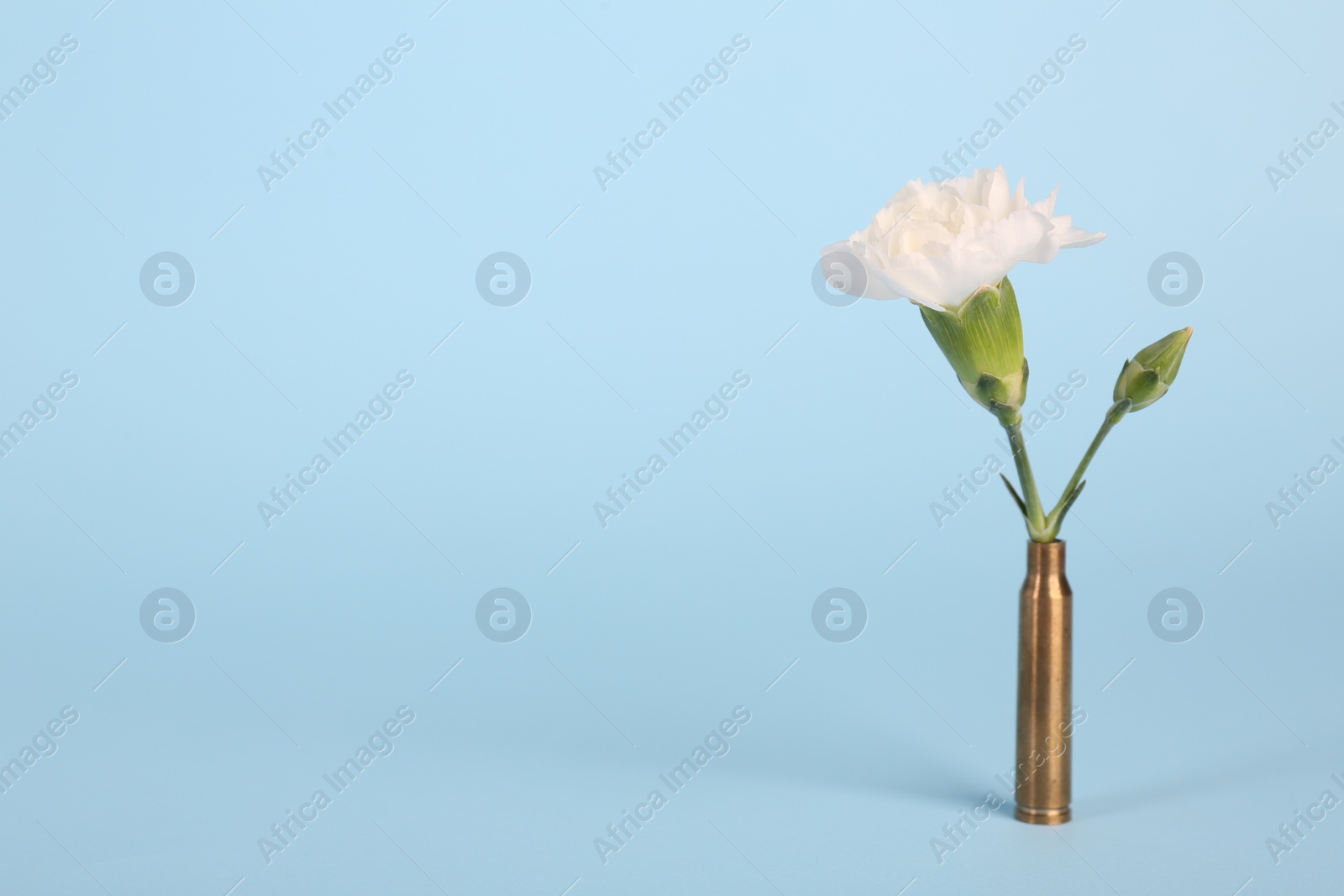 Photo of Bullet cartridge case and beautiful carnation flower on light blue background, space for text