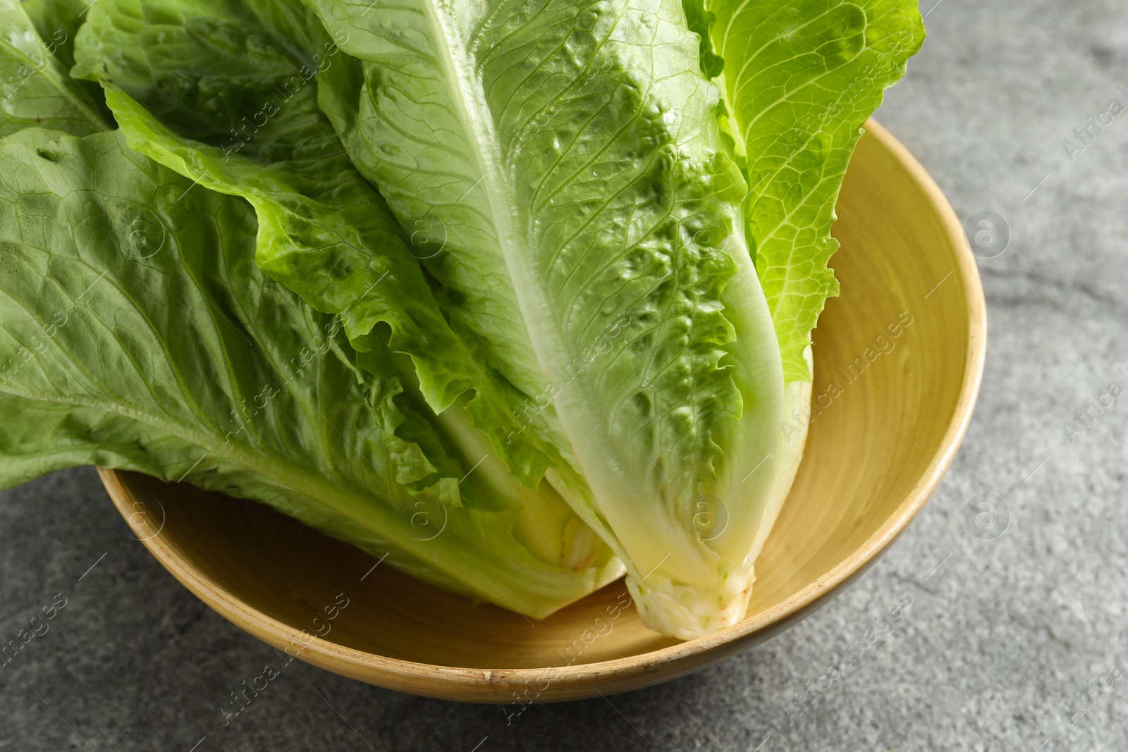 Photo of Fresh green romaine lettuces on light grey table, closeup