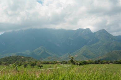 Picturesque view of mountains and green meadow