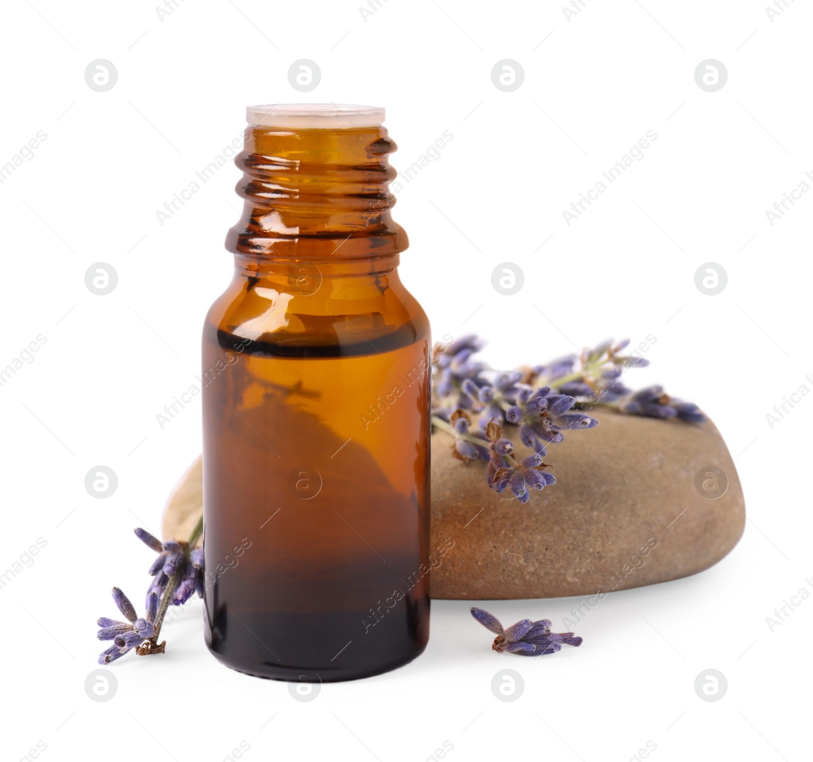 Photo of Bottle of essential oil and lavender flowers on white background