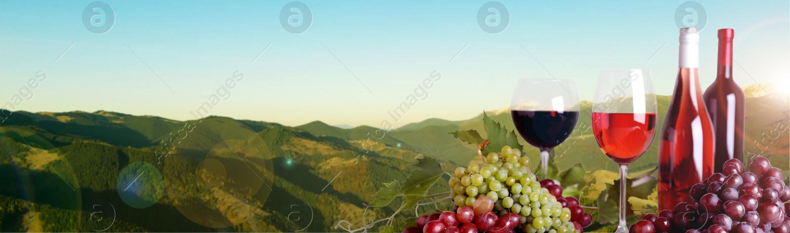 Image of Tasty wine and grapes against beautiful mountain landscape, space for text. Banner design