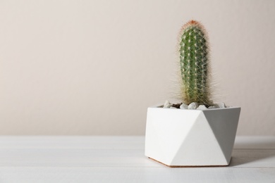 Beautiful tropical cactus plant in pot on white wooden table, space for text. House decor