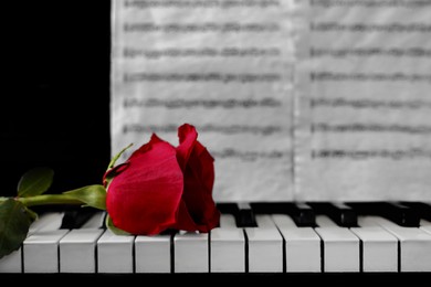 Photo of Beautiful red rose and musical notes on piano, space for text