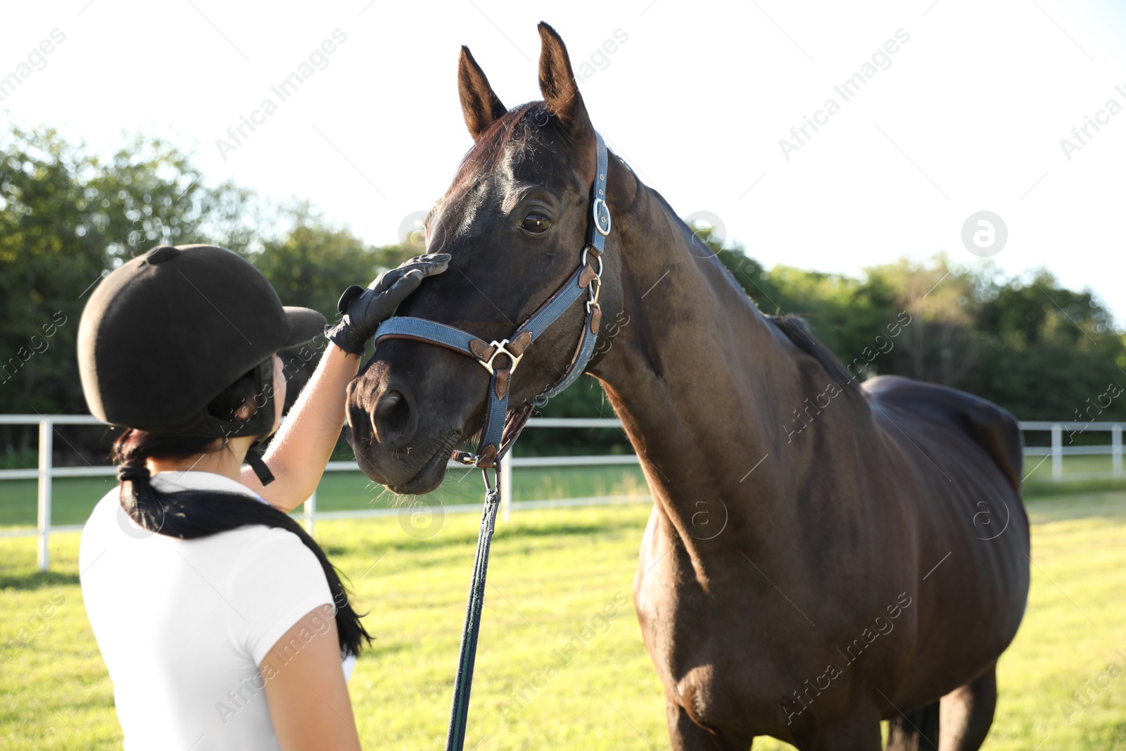 Photo of Young woman in horse riding suit and her beautiful pet outdoors on sunny day