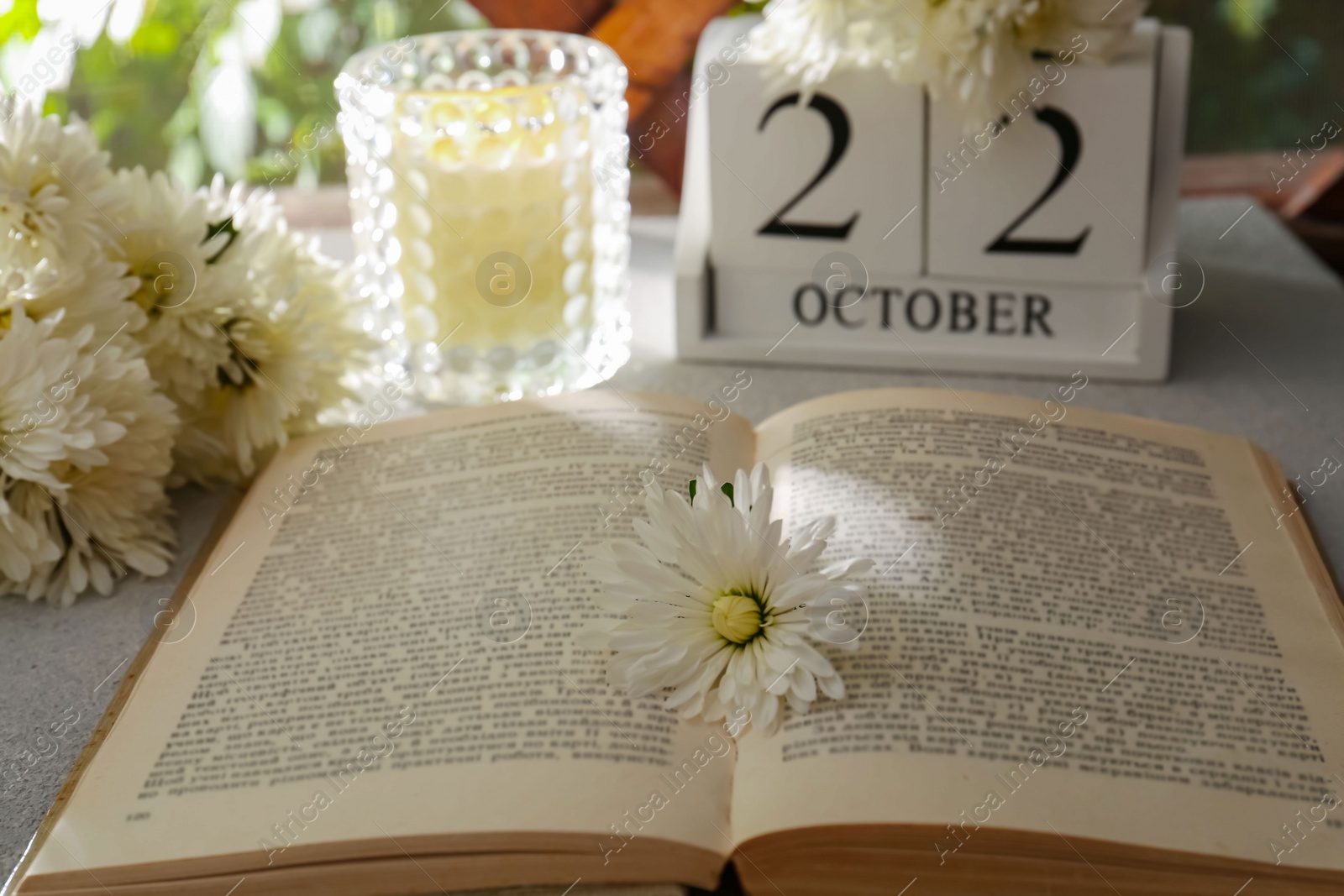 Photo of Beautiful white chrysanthemum flowers, open book and stylish decor on light grey table