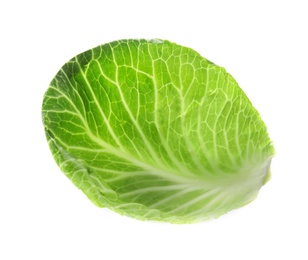 Photo of Cabbage leaf on white background. Healthy food