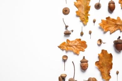 Flat lay composition with autumn leaves on white background. Space for text