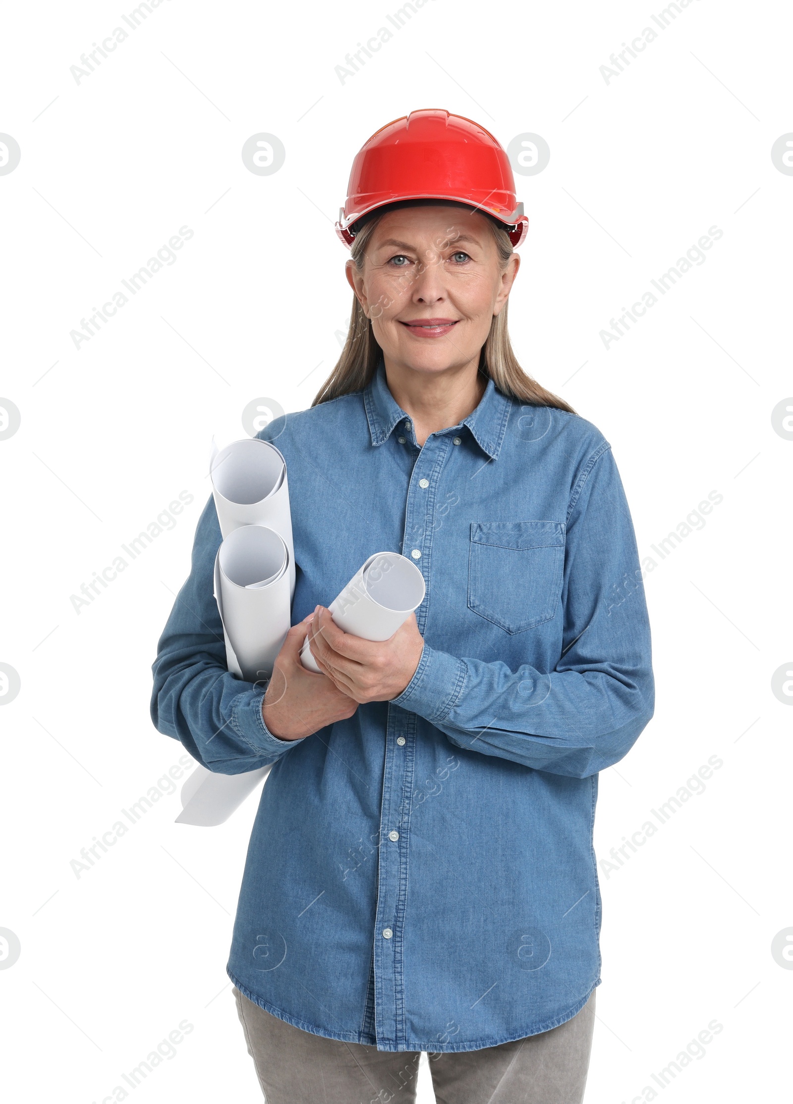 Photo of Architect in hard hat with drafts on white background