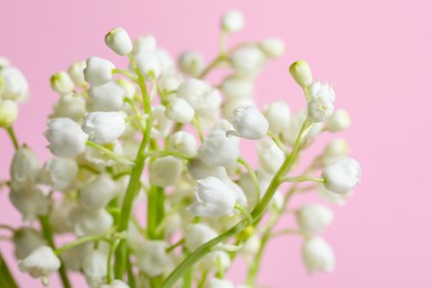 Beautiful lily of the valley flowers on pink background, closeup