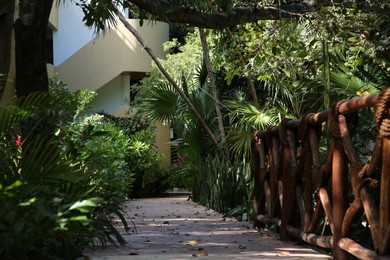 Photo of Wooden railing and beautiful exotic plants growing in tropical jungle on sunny day