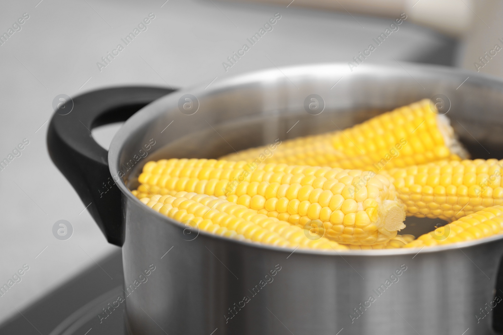 Photo of Stewpot with water and corn cobs, closeup