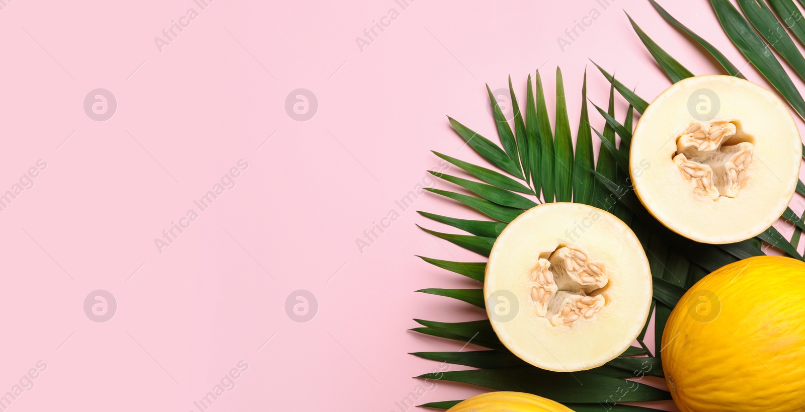 Photo of Composition with ripe tasty melons on pink background, flat lay. Space for text