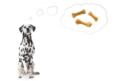 Image of Dreaming about treat. Cute Dalmatian dog and thought cloud with chew bones on white background