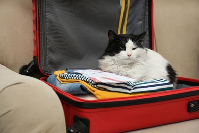 Photo of Cute cat sitting in suitcase with clothes and tickets on sofa
