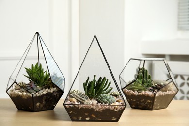 Glass florarium vases with succulents on wooden table indoors