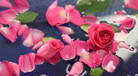 Photo of Pink roses and petals in water, closeup