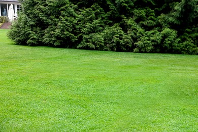 Photo of Beautiful freshly cut green lawn in yard