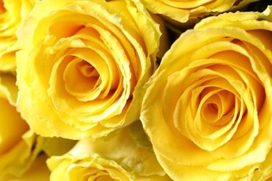 Photo of Beautiful bouquet of yellow roses as background, closeup