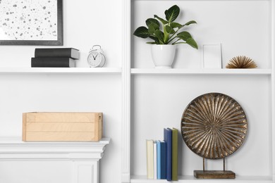 White shelving unit with houseplant and different decor elements in room. Interior design