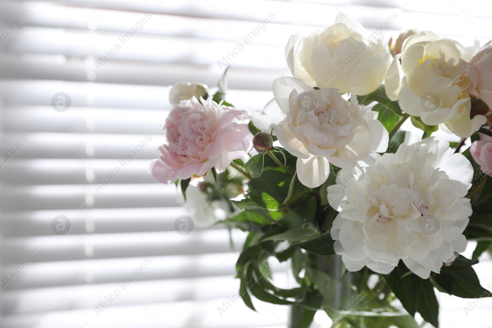 Photo of Closeup view of beautiful peonies near window indoors