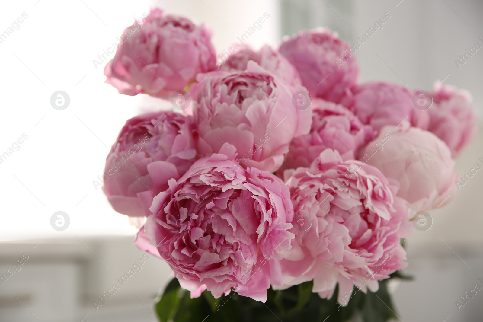 Photo of Bouquet of beautiful fresh pink peonies indoors, closeup