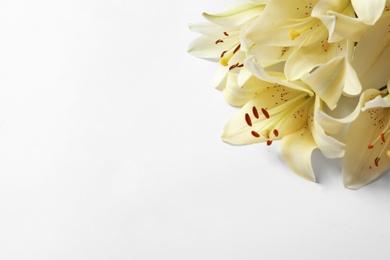 Photo of Beautiful lilies on white background, top view