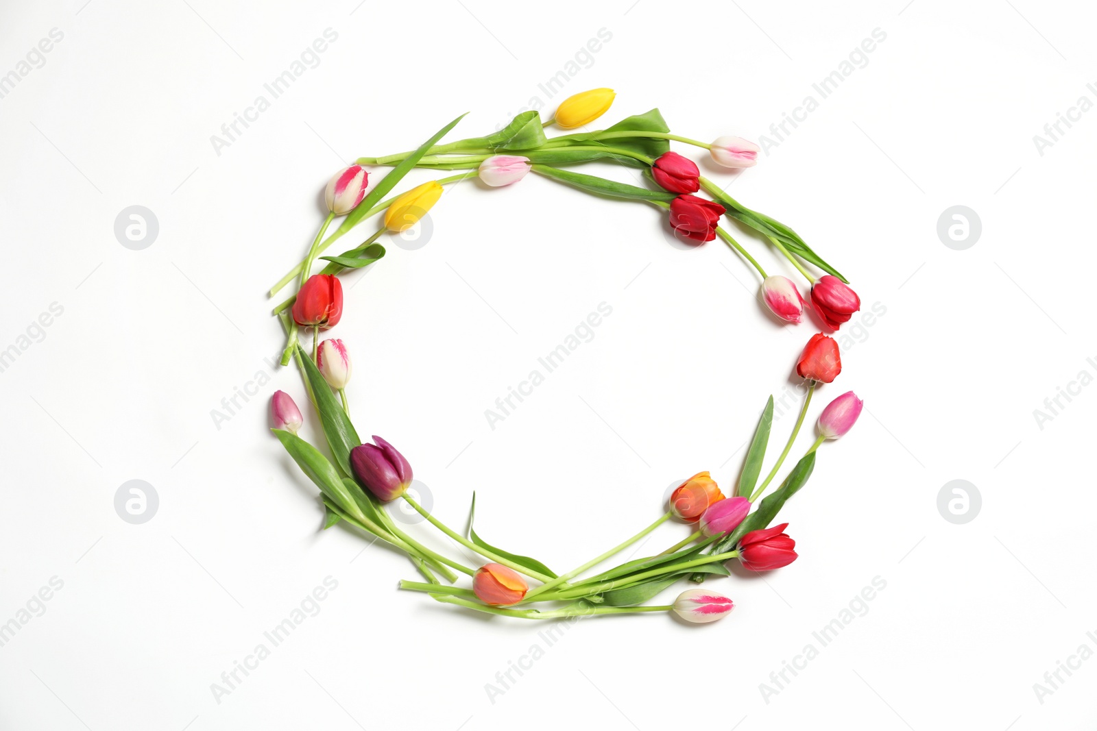 Photo of Frame made with beautiful tulip flowers on white background, top view. Space for text