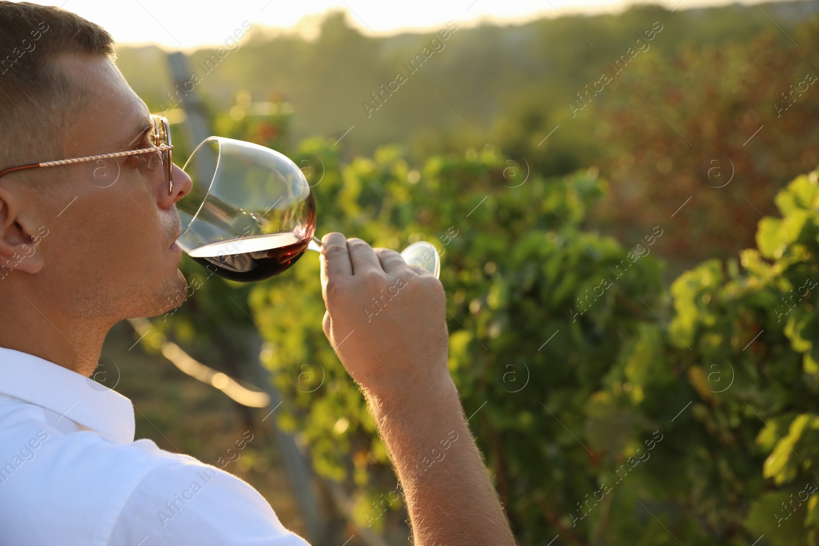 Photo of Handsome man tasting wine in vineyard on sunny day, closeup