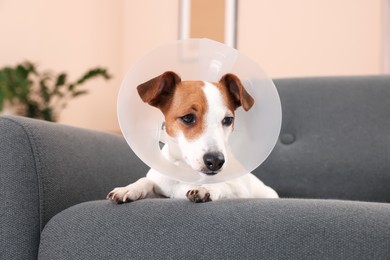 Photo of Jack Russell Terrier dog wearing medical plastic collar on sofa indoors