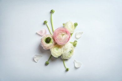 Photo of Beautiful ranunculus flowers on white background