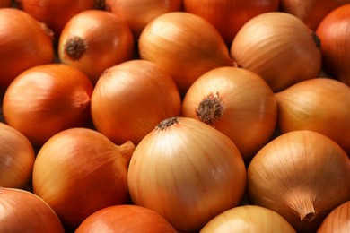 Photo of Many ripe onions as background, closeup view