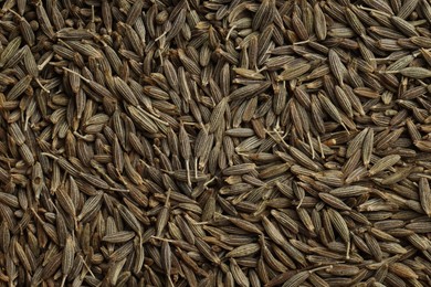 Photo of Aromatic caraway seeds as background, top view