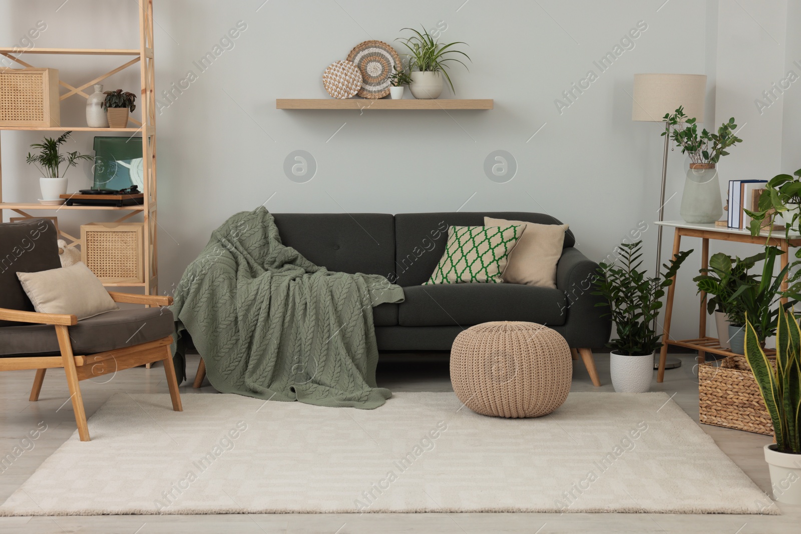 Photo of Beautiful living room interior with green houseplants and comfortable furniture