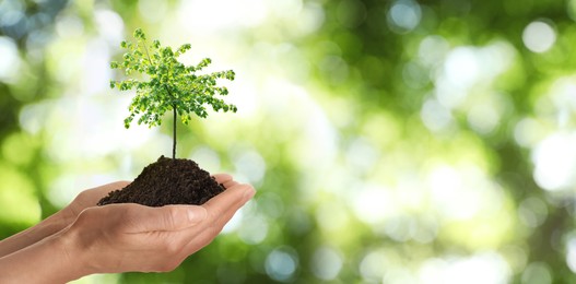Woman holding pile of soil with small tree on blurred green background, closeup. Eco friendly lifestyle 