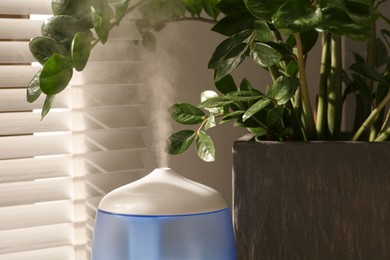 Air humidifier near beautiful green houseplant indoors