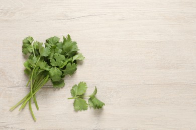Bunch of fresh aromatic cilantro on white wooden table, flat lay. Space for text