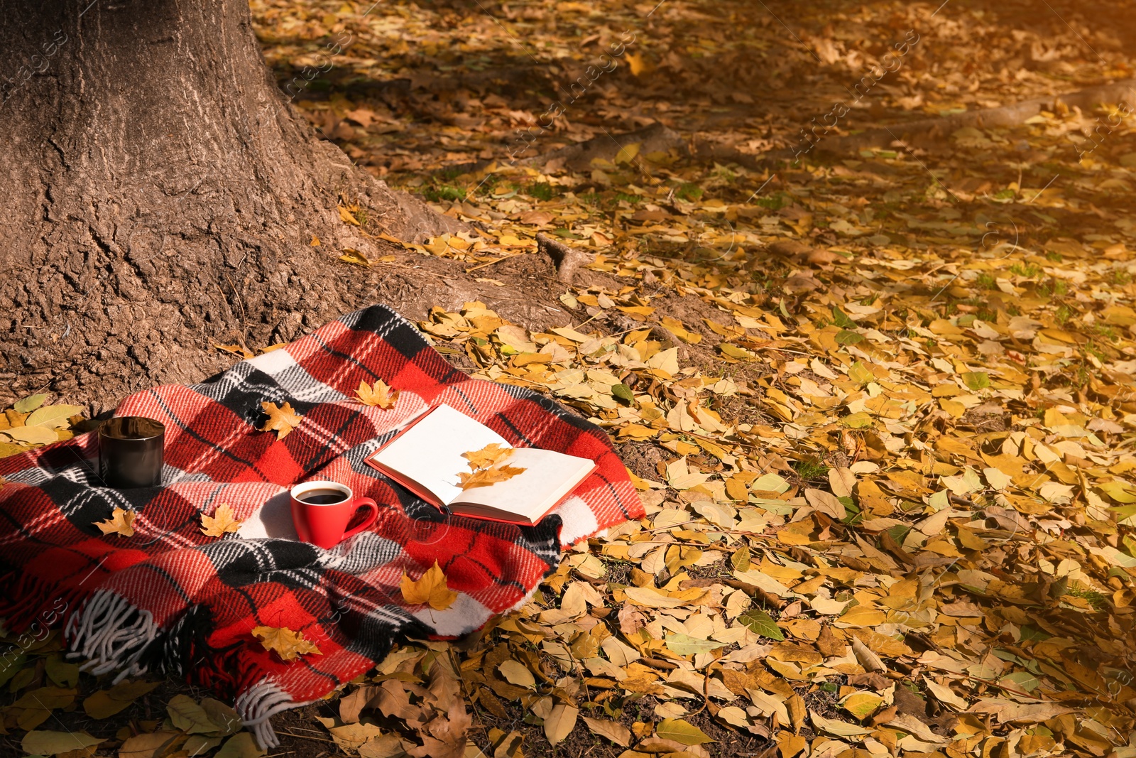 Photo of Plaid with cup of coffee, book and candle near tree in park on sunny autumn day. Space for text