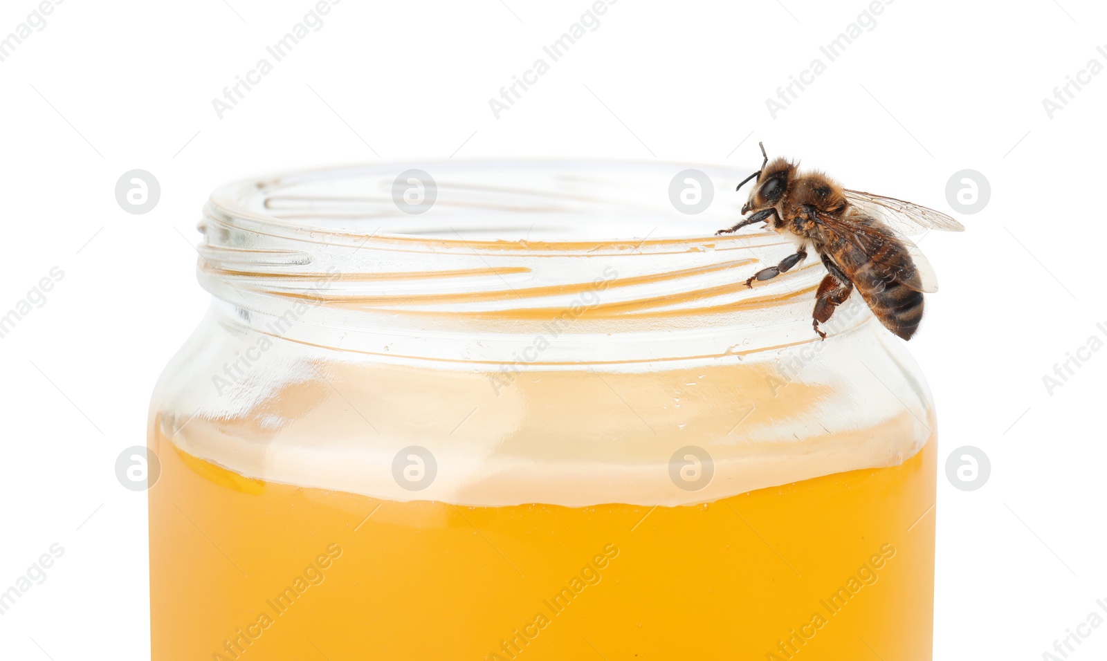 Photo of Jar with honey and bee on white background