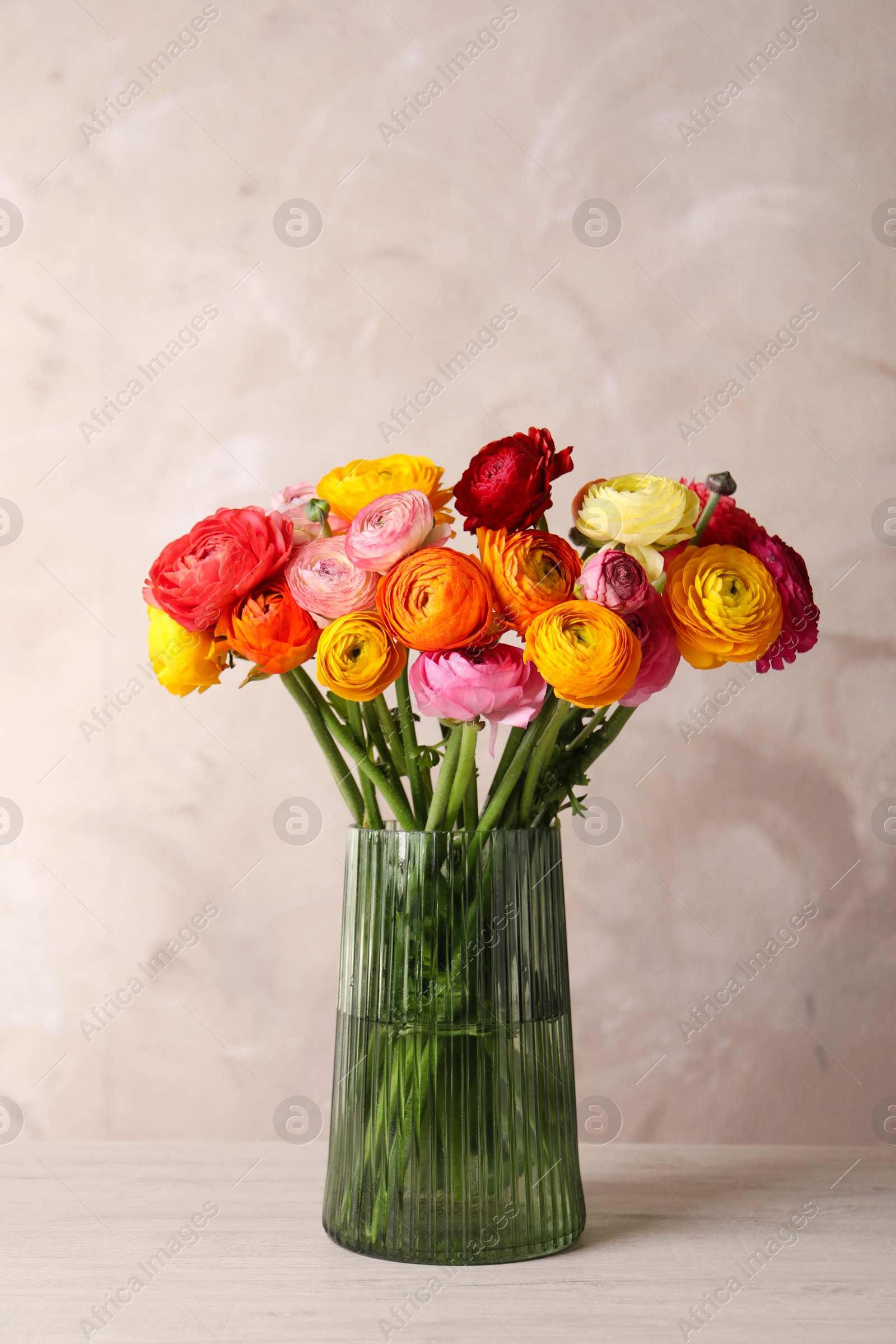 Photo of Beautiful fresh ranunculus flowers in vase on white table