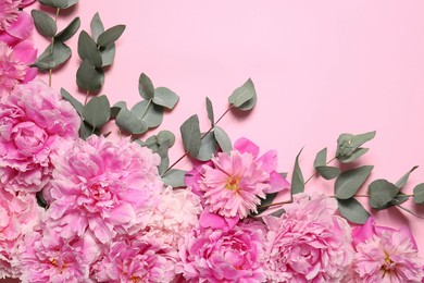 Photo of Beautiful peony flowers and eucalyptus leaves on pink background, flat lay. Space for text