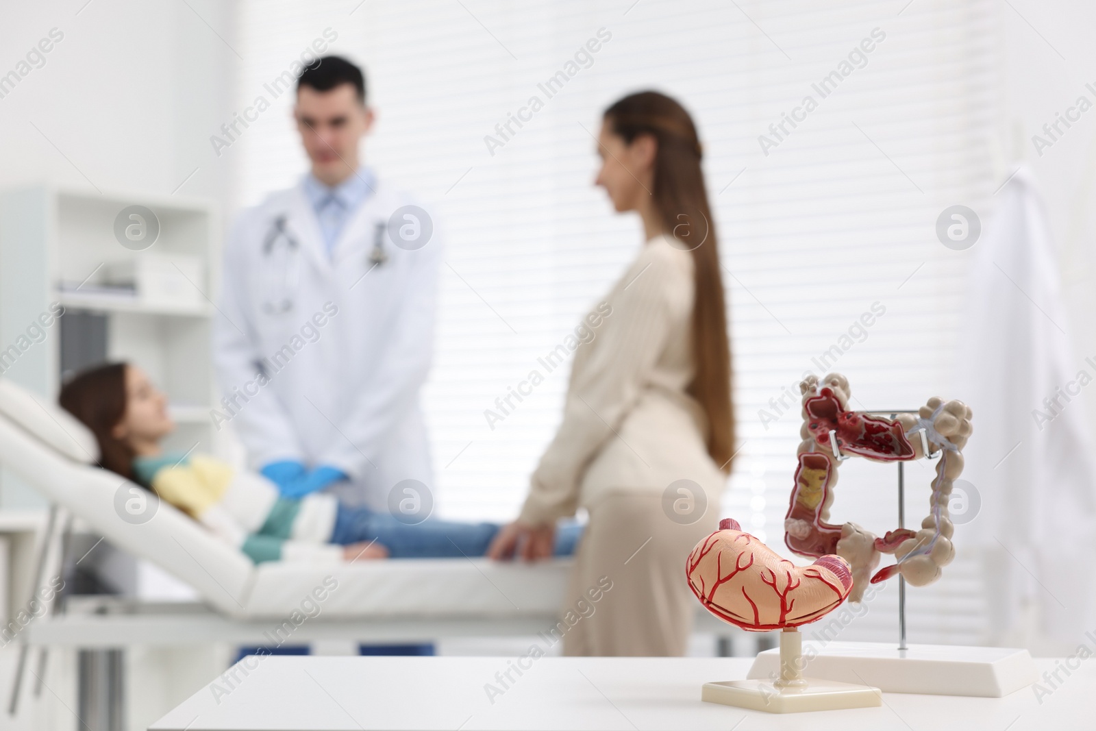 Photo of Gastroenterologist examining girl in clinic, focus on models of stomach and intestine on white table