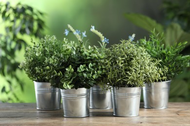 Different aromatic potted herbs on wooden table outdoors