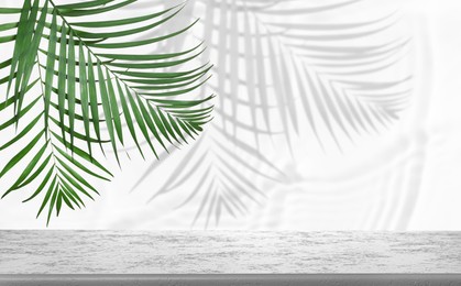 Image of Tropical leaves over grey table casting shadow on white wall with pattern