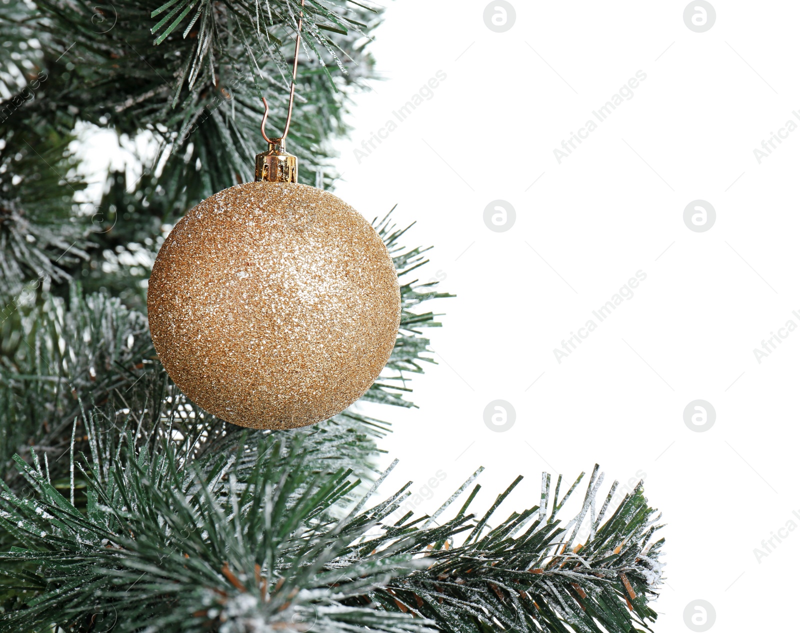 Photo of Beautiful Christmas tree with decor on white background, closeup. Celebration time