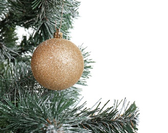 Photo of Beautiful Christmas tree with decor on white background, closeup. Celebration time