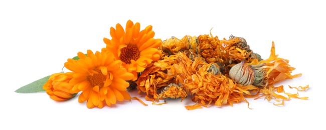 Pile of dry and fresh calendula flowers on white background